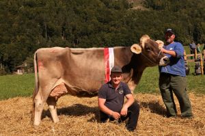 Gina von der Familie Betschart Plattenbach wurde Miss Muotathal der Braunviehrasse